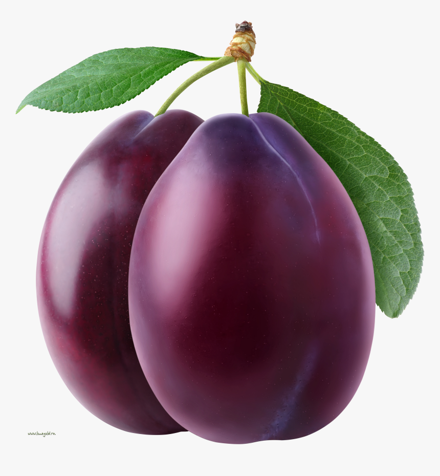 Plum Png Image - Plum Png, Transparent Png