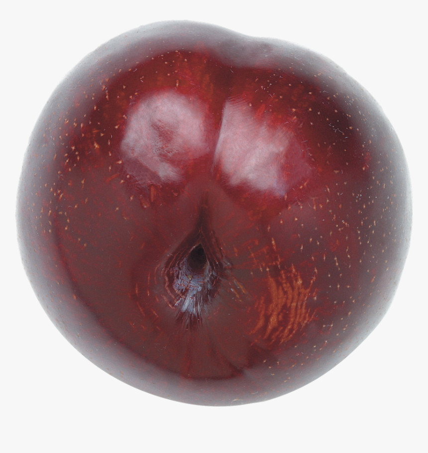 Plum Png Free Download - Portable Network Graphics, Transparent Png