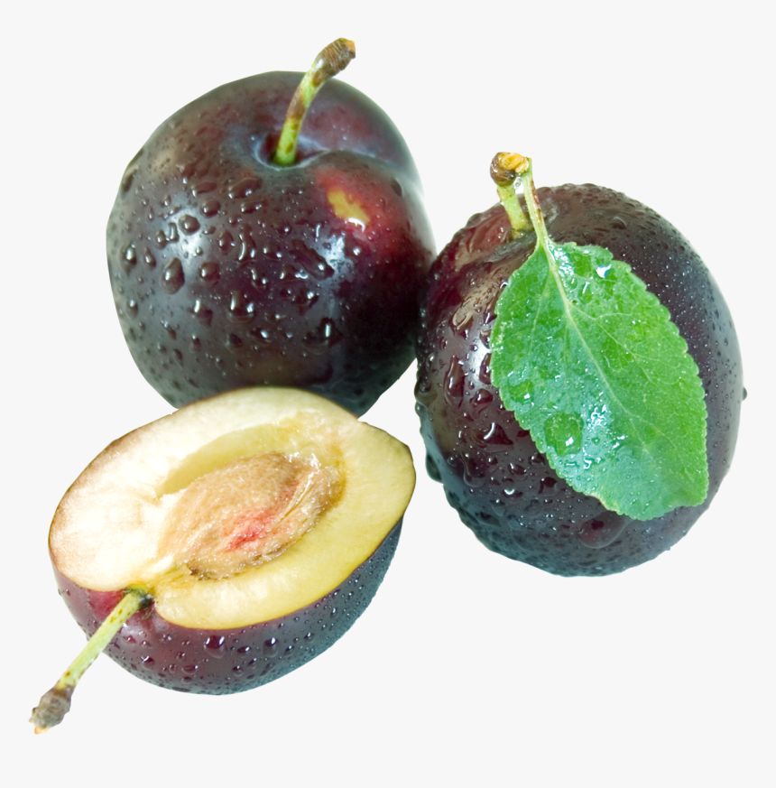 Plum Transparent Background, HD Png Download