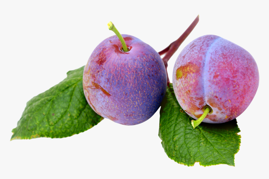 Plum - Plum Png Aesthetic, Transparent Png