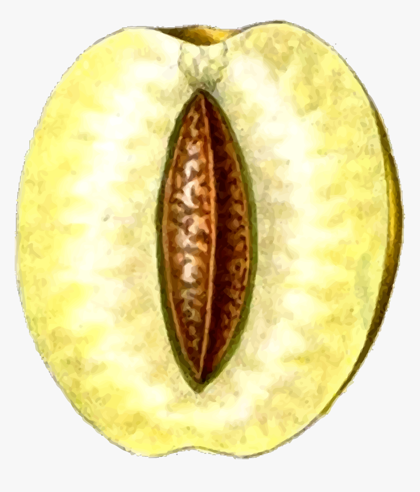 Golden Esperen Plum 2 Clip Arts - Brass, HD Png Download