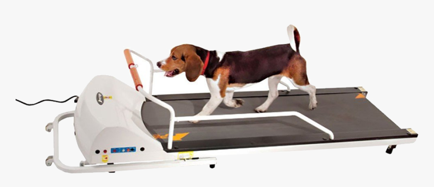 Gopet Petrun Dog Treadmill, HD Png Download