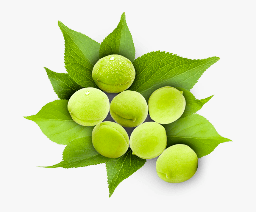 Sweet Lemon, HD Png Download