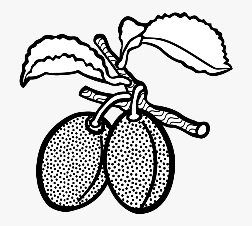 Line Art Plum Drawing Computer Icons Fruit - White And Black Clipart Fruits Plum, HD Png Download