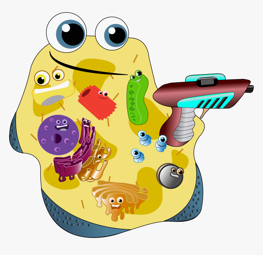 Cartoon, HD Png Download