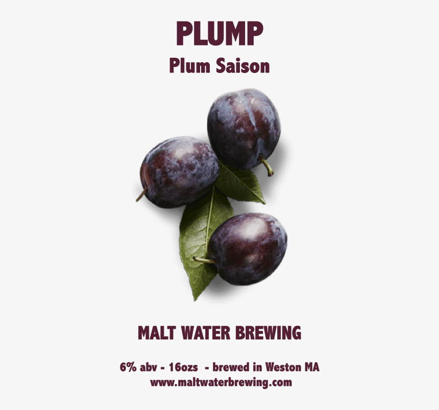 Plum Saison - Plump - Beach Plum, HD Png Download