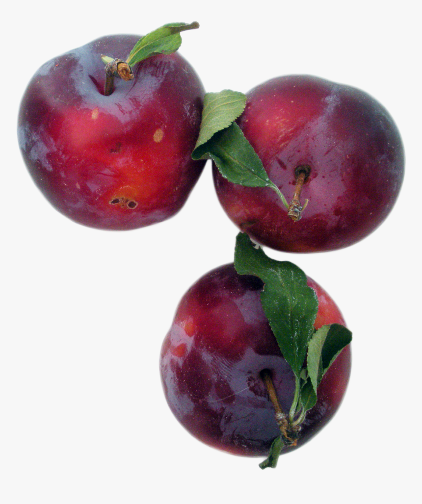 Plums Png Image - Frutti Di Bosco, Transparent Png
