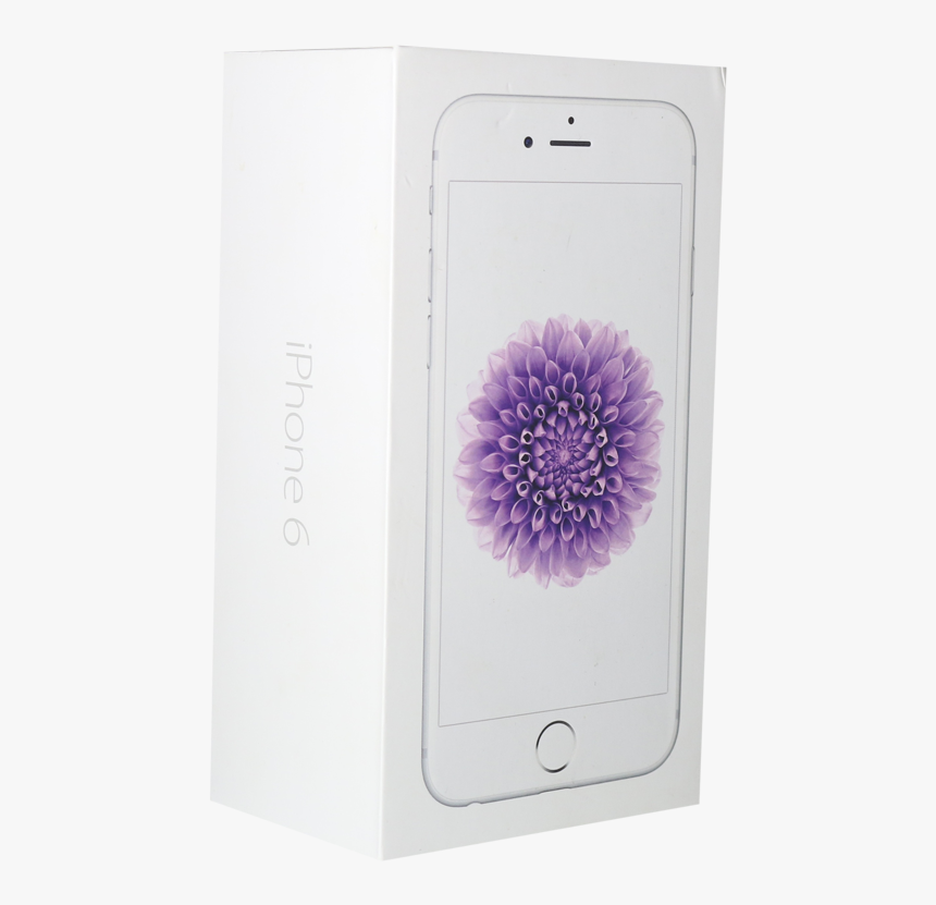 Floral Design, HD Png Download