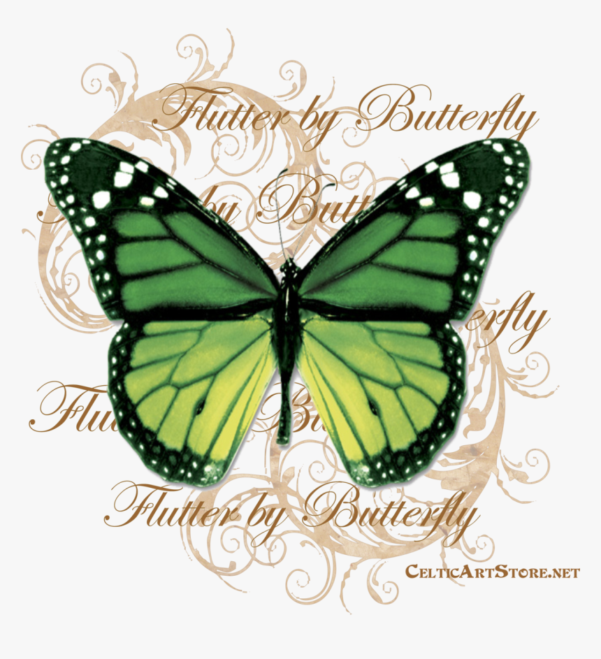 Butterflies & Dragonflies Tagged Butterfly - Png Butterfly, Transparent Png
