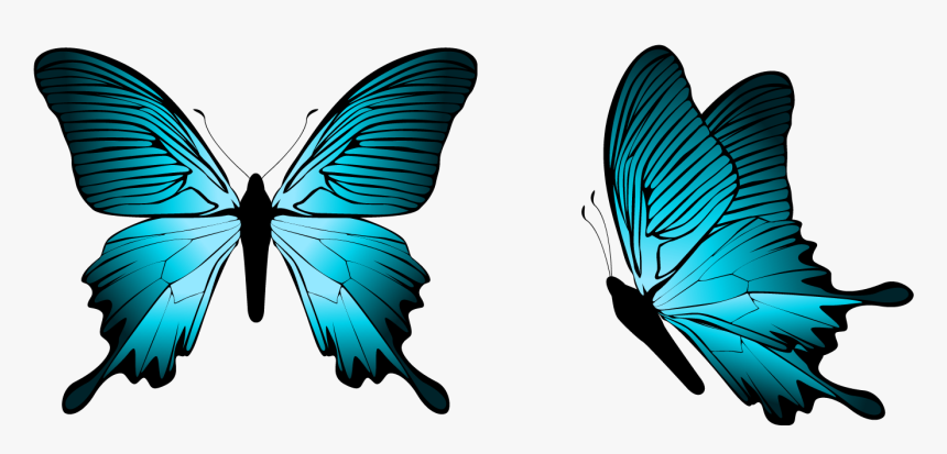 Butterfly Png Clipart - Blue Butterfly Png, Transparent Png