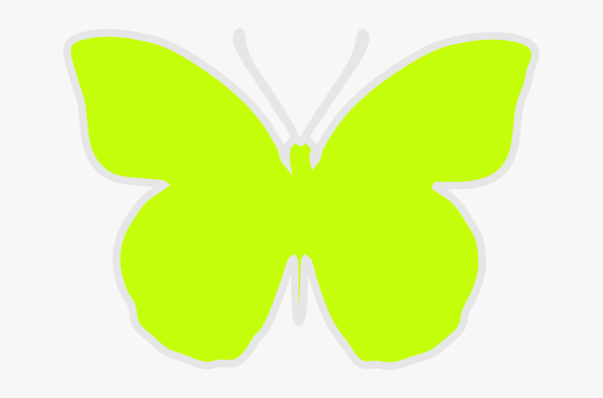 Papilio, HD Png Download