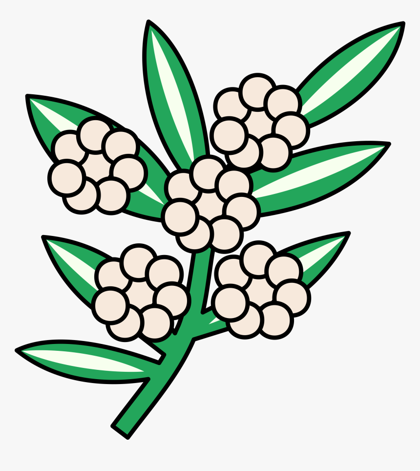 Calophyllum Flowers Clip Arts, HD Png Download