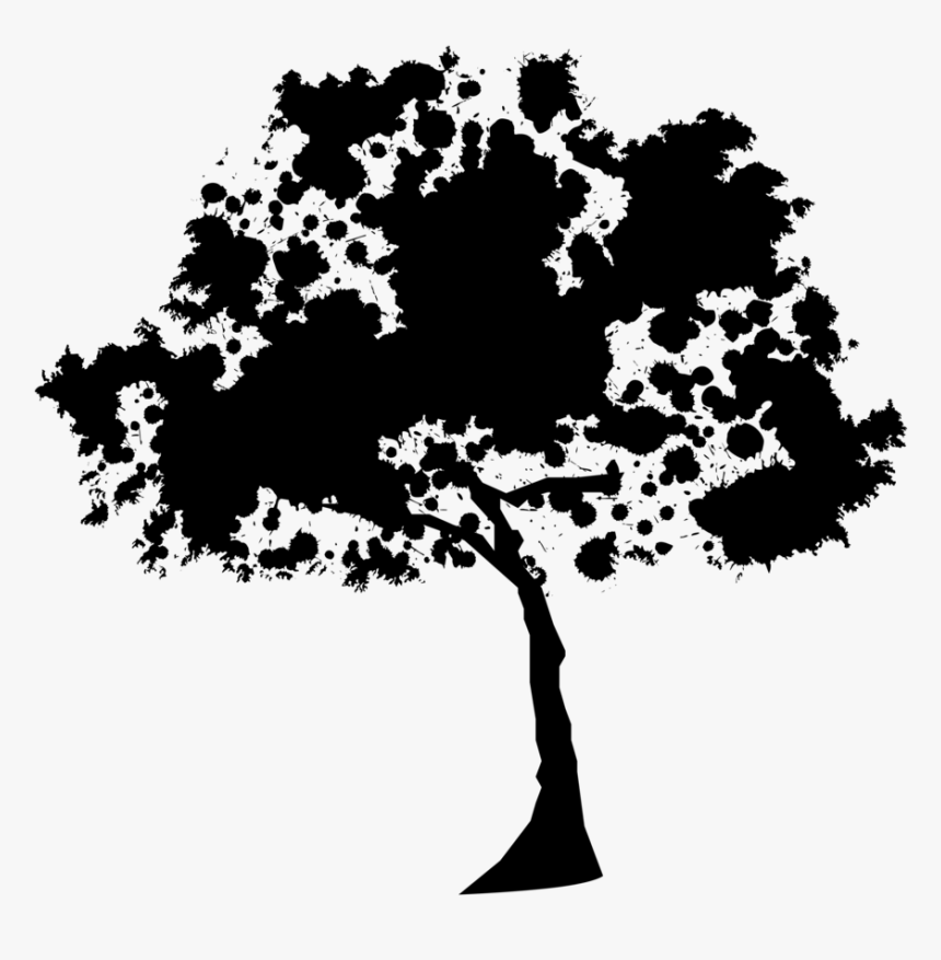 Silhouette Tree Oak - Silhouette, HD Png Download