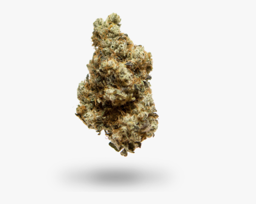 Arizona Cypress, HD Png Download