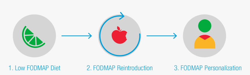 3 Step Graphic - Low Fodmap Diet Phases, HD Png Download