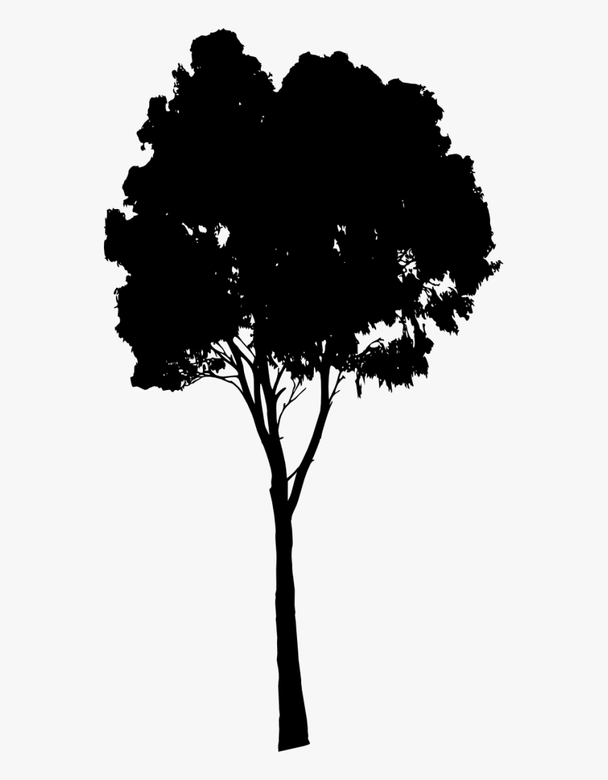 Download Free Dlpng Com - Tree Silhouette Png, Transparent Png