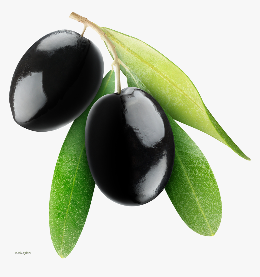 Olives Png Image - Black Olive Png, Transparent Png