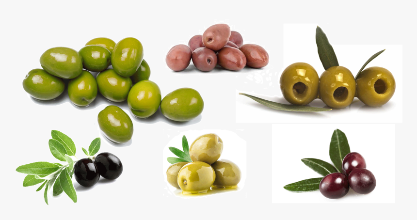 Olives , Png Download - Arbequina Evoo, Transparent Png