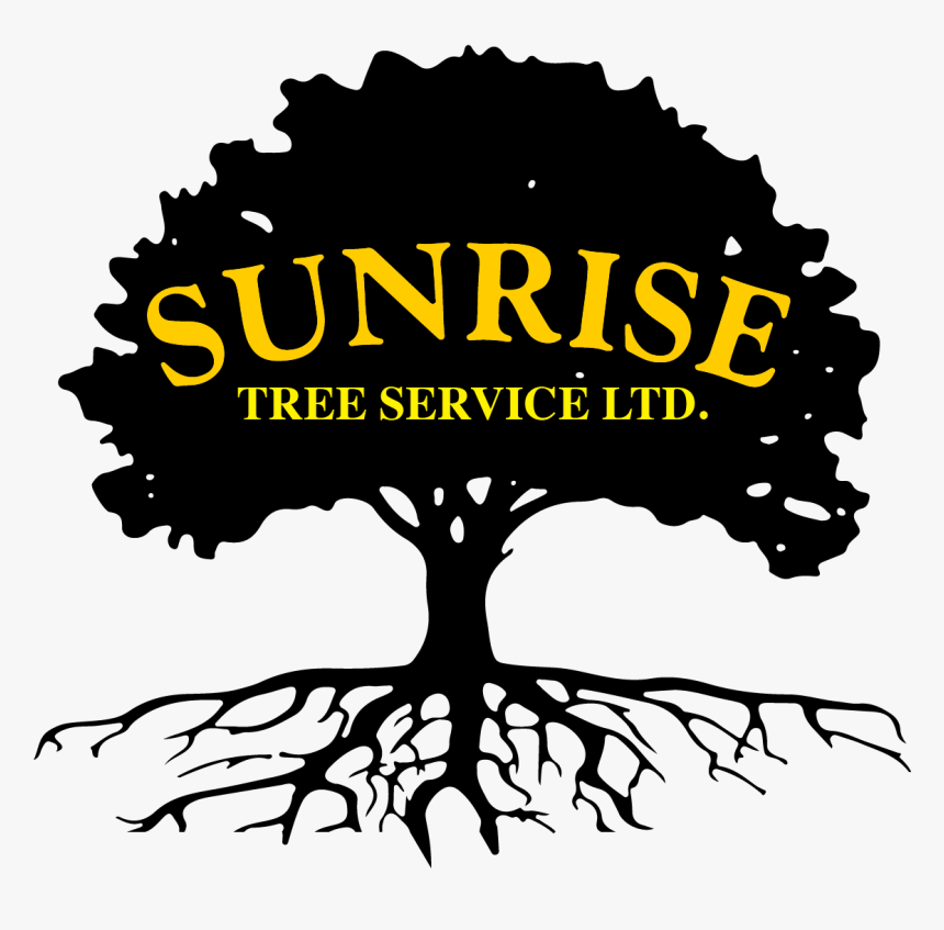 Swamp Spanish Oak English Oak Tree Silhouette Clip - Tree Silhouette Clipart Png, Transparent Png