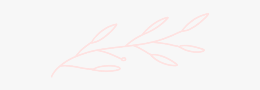 Floral Design, HD Png Download