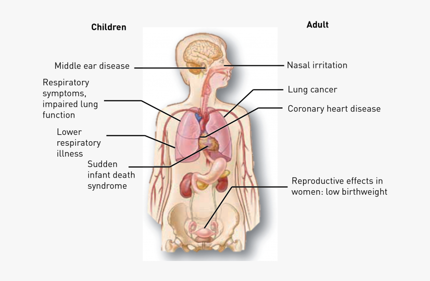 Effects Of Passive Smoking, HD Png Download