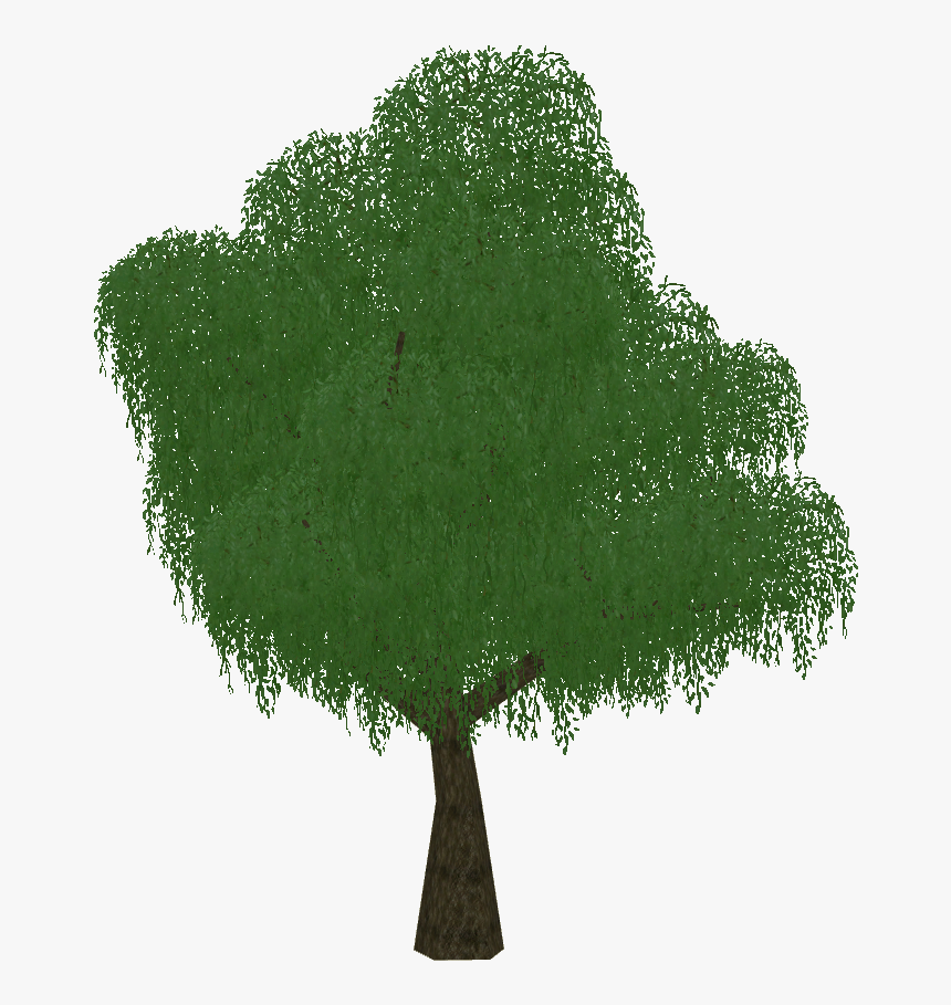 Grass, HD Png Download