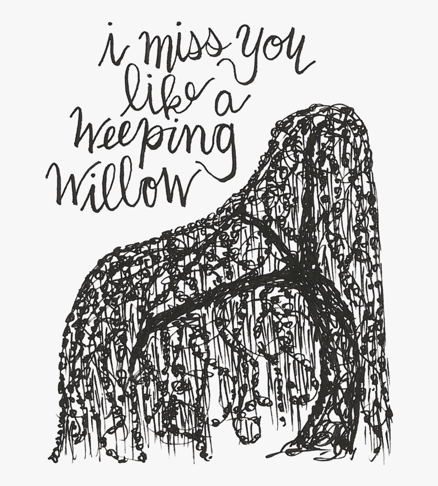 Weeping Willow Png, Transparent Png