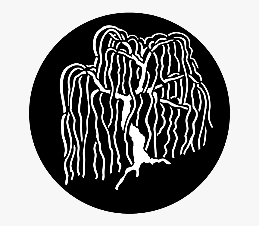 More Views - Tree - Weeping Willow - Reversed - Illustration - Illustration, HD Png Download