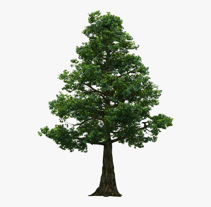 Portable Network Graphics, HD Png Download