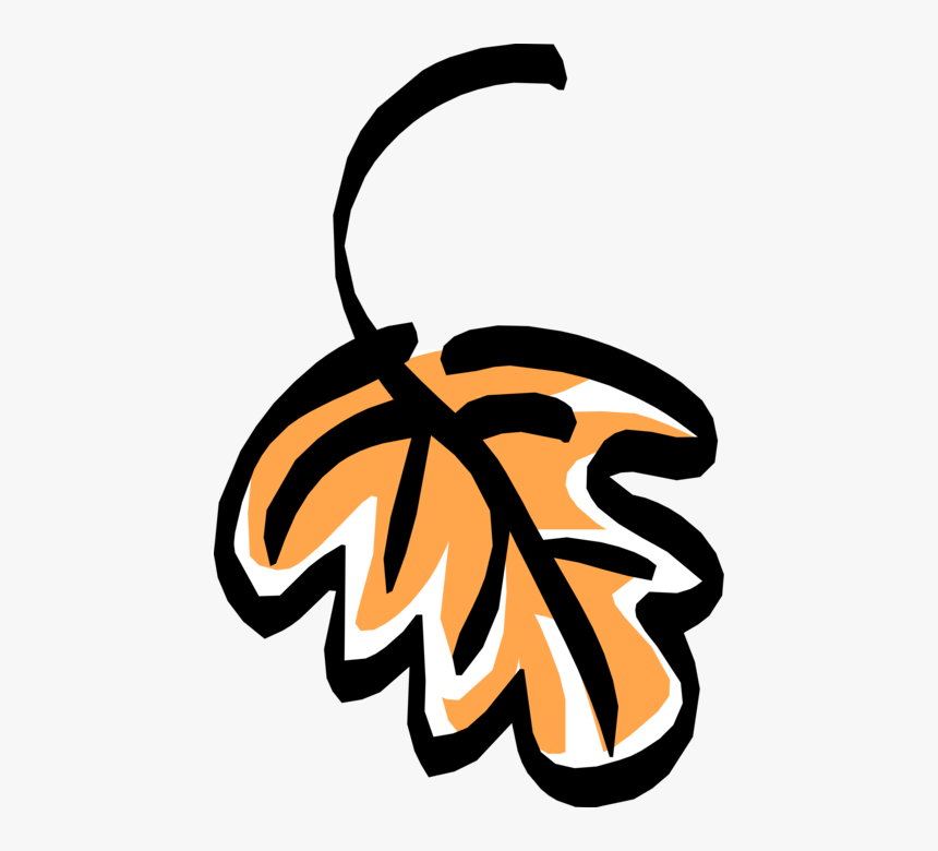 Vector Illustration Of Deciduous Tree Vegetation Oak - Clip Art, HD Png Download