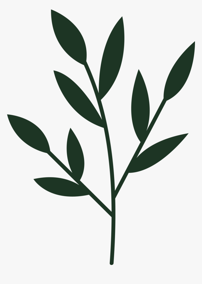 Green Plant Png, Transparent Png