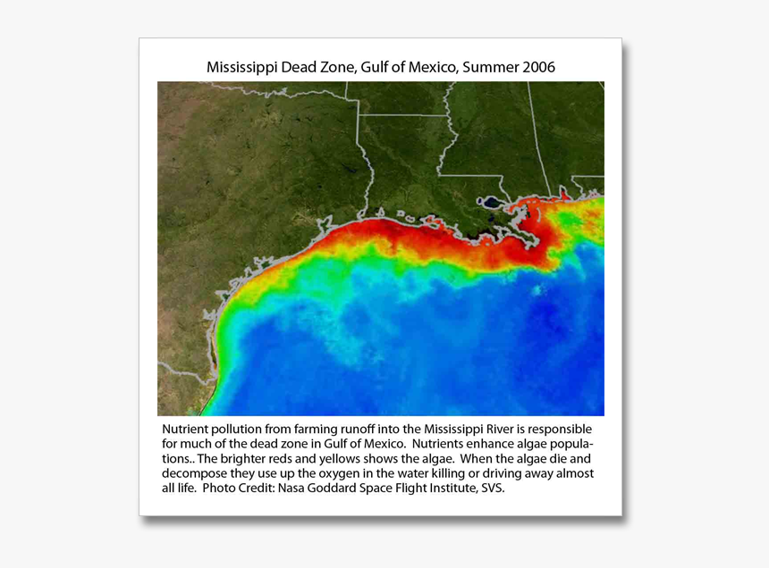 Gulf Of Mexico Hypoxia Zone, HD Png Download