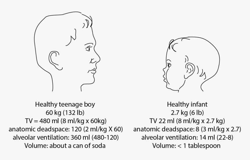 Sketch, HD Png Download