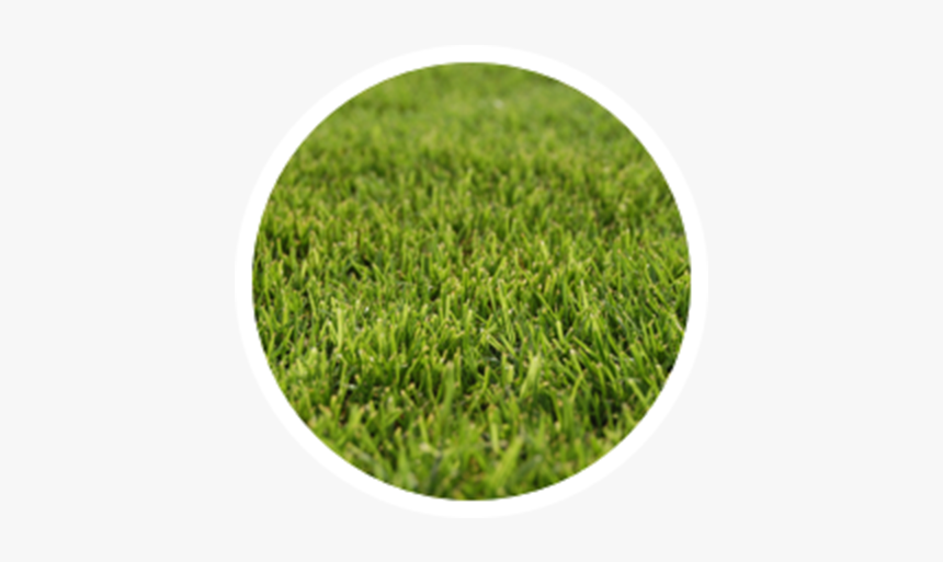 Circle, HD Png Download