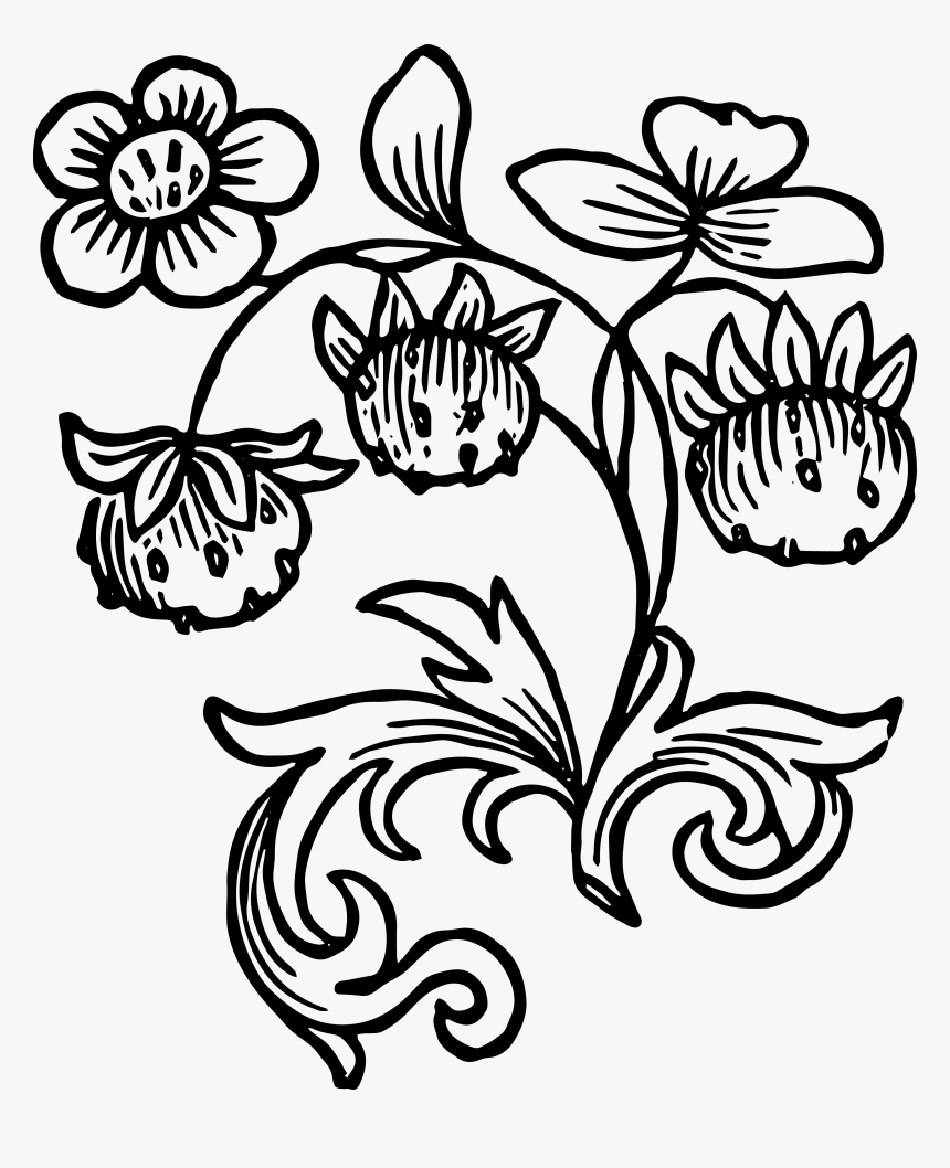Clip Art Royalty Free Vintage Clip Art - Strawberryberry Clipart Black And White, HD Png Download