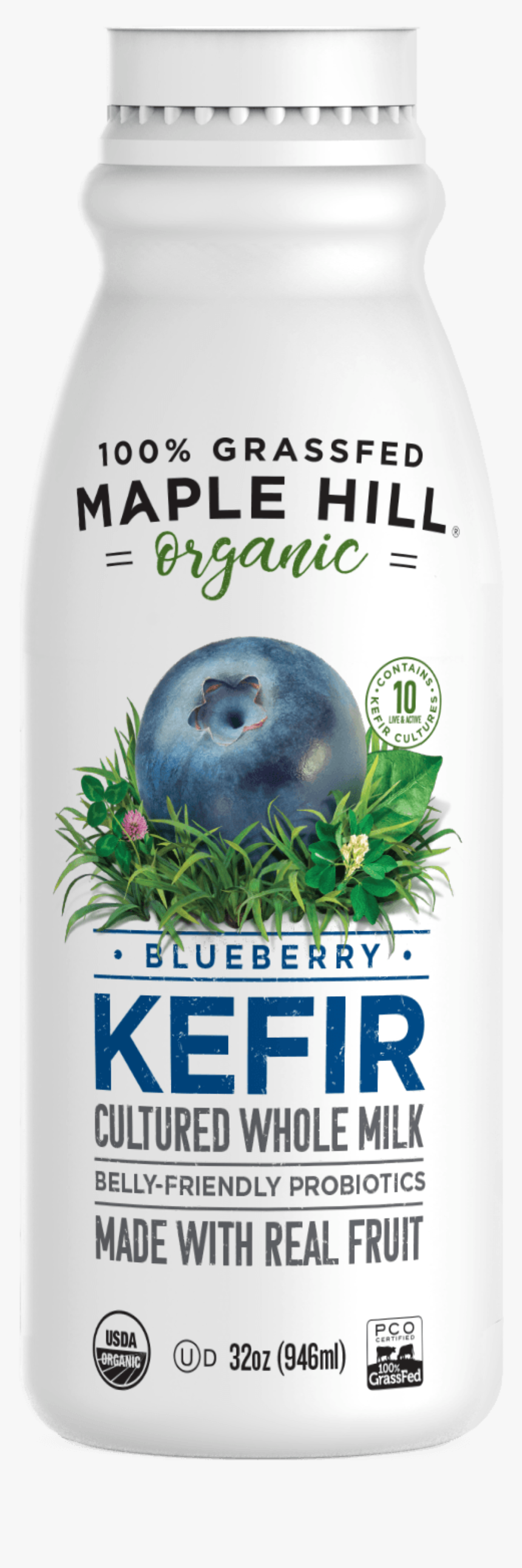 Stallion, HD Png Download