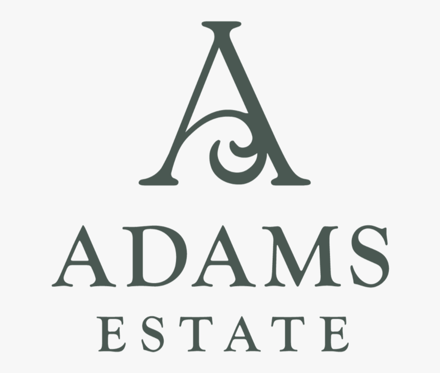 The Third Option Was Inspired By The Wrought Iron Scrollwork - Binghamton University, HD Png Download