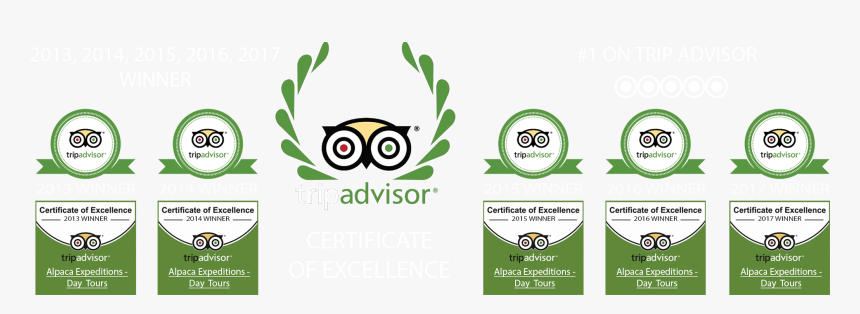 Transparent Tripadvisor Icon Png - Tripadvisor Llc, Png Download