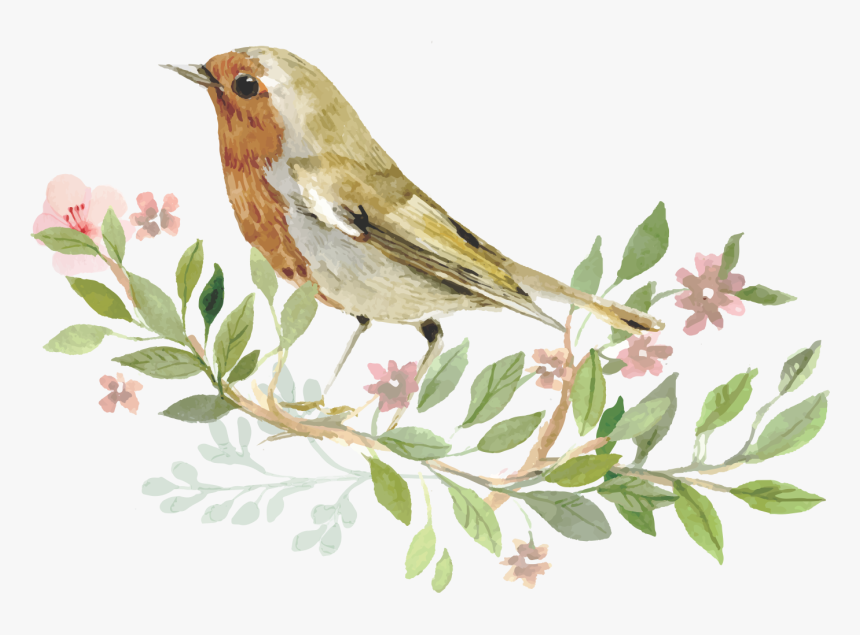 Sparrow Bird Watercolor Painting - Transparent Bird Png Watercolor, Png Download