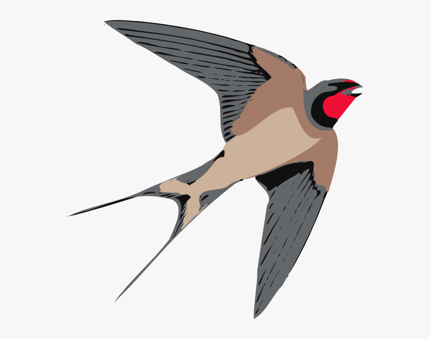 Sparrow Png Free Download - Swallow Clipart, Transparent Png
