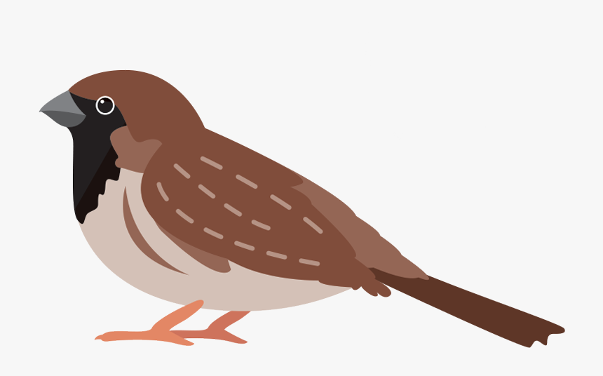 House Sparrow, HD Png Download