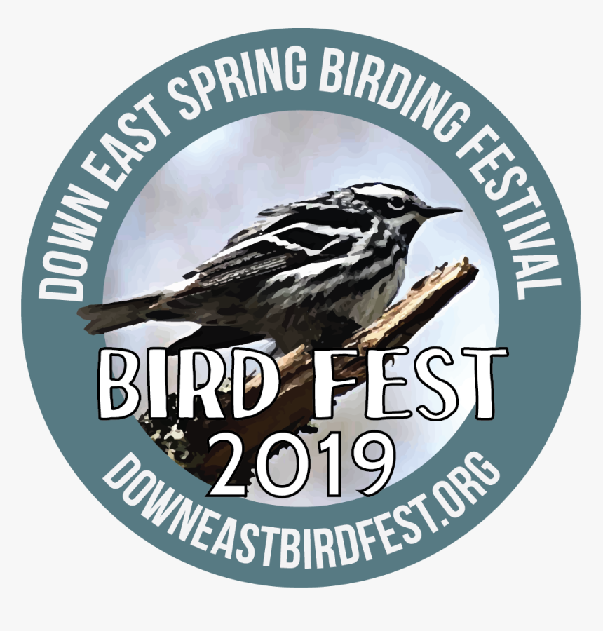 Bird Fest Logo 2019 - House Sparrow, HD Png Download