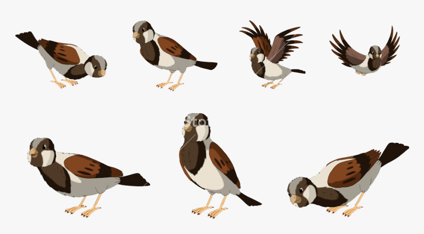 Sparrow Png Free Pic - Cute Png Cartoon Sparrow, Transparent Png