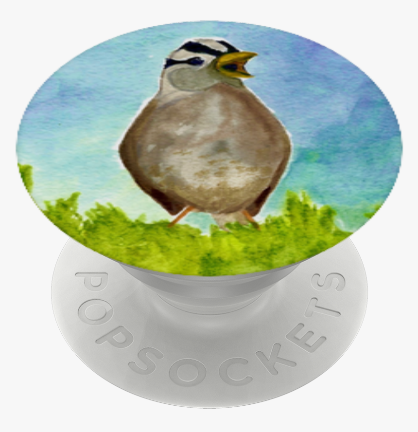 Sparrow Png, Transparent Png