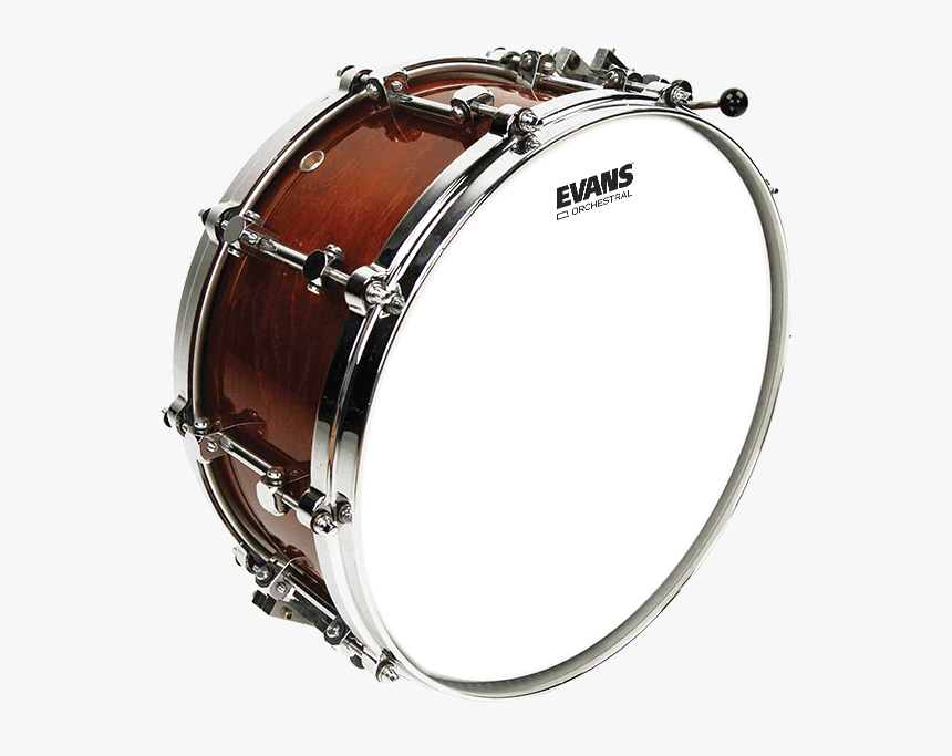 Drumhead, HD Png Download
