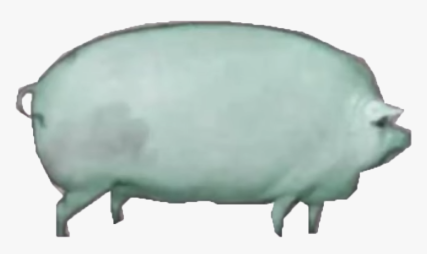 Hippopotamus, HD Png Download