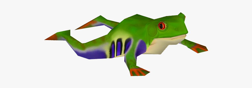 Red-eyed Tree Frog, HD Png Download