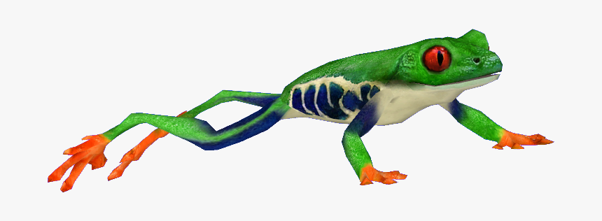 Frog3 - Red Eyed Tree Frog Png, Transparent Png