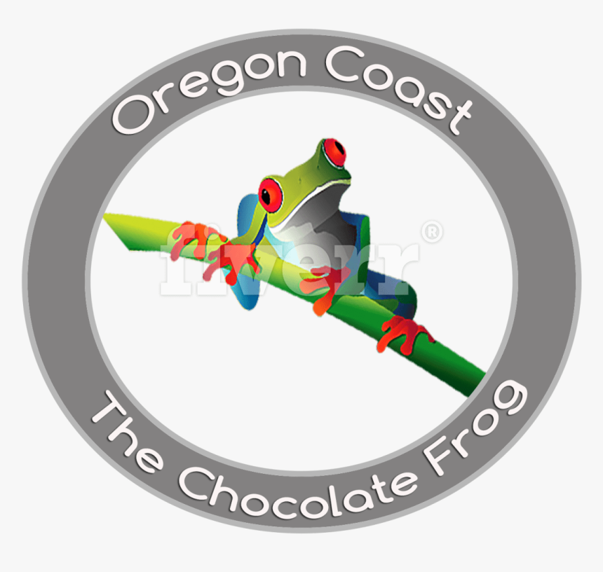 Red-eyed Tree Frog , Png Download - Red-eyed Tree Frog, Transparent Png