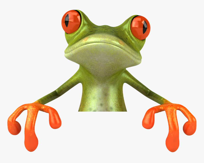 Tree Frogs With Glasses, HD Png Download